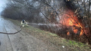 Добровольцы и пожарные тушили загоревшуюся на трассе в Липецкой области иномарку