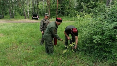 Липецкие казаки помогают предотвратить пожары в лесах 