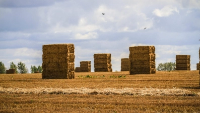 Заготовка кормов в Липецкой области близится к завершению