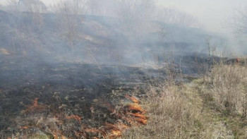 Из-за холодной погоды в Липецкой области сократилось количество случаев возгорания сухой травы