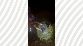 Липецкие спасатели вытащили из пруда нетрезвого мужчину