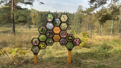 В Липецкой области устанавливают аншлаги у памятников природы