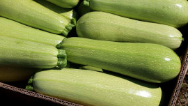 Липецкие фермеры поставляют свою продукцию на прилавки магазинов