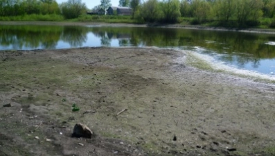 В Данковском районе расчистят заросший водоем