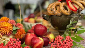 Фестиваль «Антоновские яблоки» прошел в Ельце