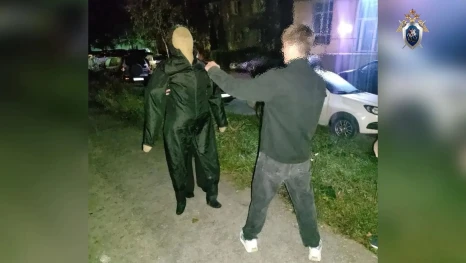 В Липецке подростку избрали домашний арест за хулиганство