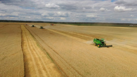 Больше 1,7 млн тонн зерновых и зернобобовых намолотили в Липецкой области