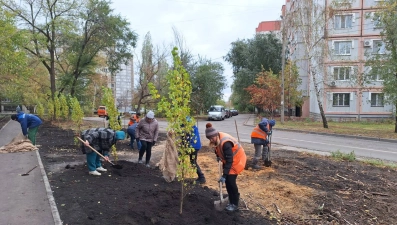 54 дерева посадили на проспекте Победы в Липецке