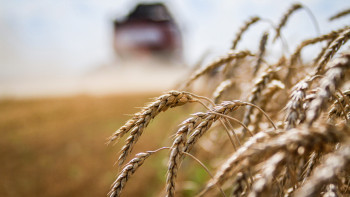 Липецкая область примет участие в Первом Всероссийском аграрном диктанте