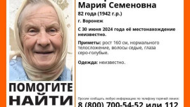 Пропавшая 82-летняя женщина из Воронежа может находиться в Липецкой области 