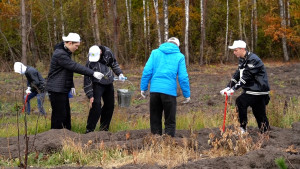 В Липецкой области проходит акция «Сохраним лес»