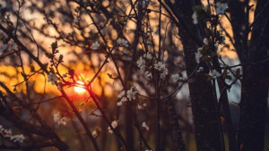 В четверг, 30 сентября, ожидается отключение воды и света