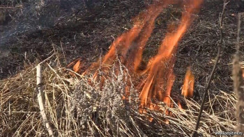 Жители областного центра больше всех жгли траву и мусор 