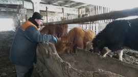 В Липецкой области открыли набор в «Школу фермера»