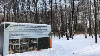 В Нижнем парке появится верёвочный городок