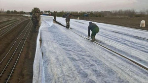 Чаплыгинские лесоводы завершили посев берёзы