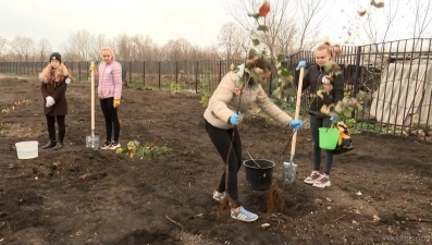 В Лебеднском районе высадили парк (видео)