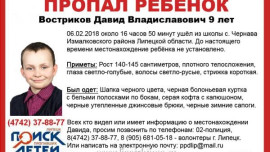 Волонтеры подключились к поиску 9-летнего Давида Вострикова