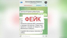 Мошенники подделали аккаунт мэра Липецка Евгении Уваркиной