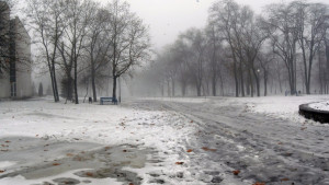 1 января в Липецкой области пасмурно и тепло