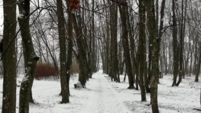 Троекуровский парк возродят в Лебедяни