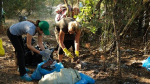 В регионе пройдет Всемирный день чистоты 