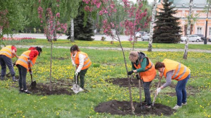 Яблони «Скарлет» высадили на площади Революции в Липецке