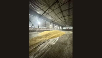 В Липецкой области со склада фермера вынесли 132 тонны ячменя пока тот отсутствовал 