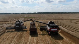 1,6 млрд рублей господдержки получили липецкие аграрии за полгода