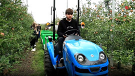 300 студентов из разных регионов России приехали собирать яблоки в Липецкую область