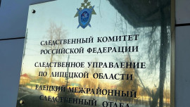 Житель Добровского округа получил 7 лет за угрозу полицейским с ножом