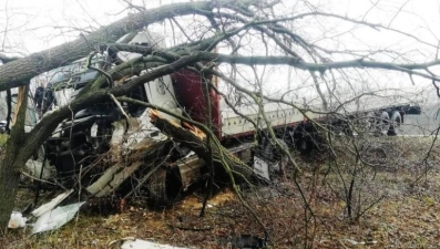 Грузовик снес дерево в Липецке