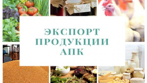 Липецкая область значительно перевыполнила план по экспорту продукции АПК