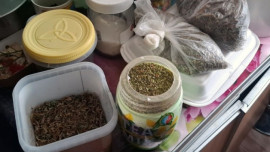 Жителя Липецкой области отправили под суд за 200 граммов марихуаны