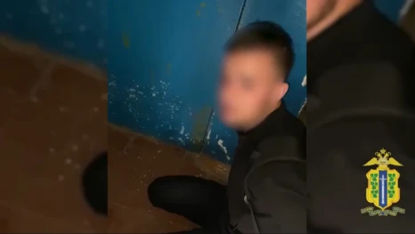 В Елецком округе задержали пособника телефонных мошенников, похитивших 400 тысяч рублей у пенсионерки