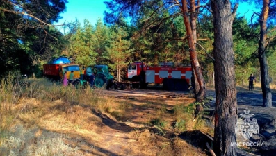 В Хлевном потушили пожар в лесном массиве на берегу Дона