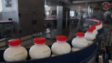 Производство продуктов питания в Липецкой области показало уверенный рост