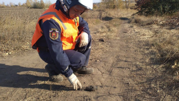 В Липецкой области ликвидировали мину времен Великой Отечественной войны