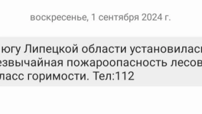 МЧС: в лесах южных районов Липецкой области установилась чрезвычайная пожароопасность