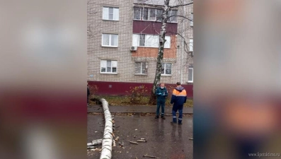 Большая береза упала на мужчину на Бескрайней в Липецке