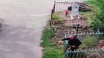 На кладбище и в сквере Ельца зафиксированы случаи вандализма