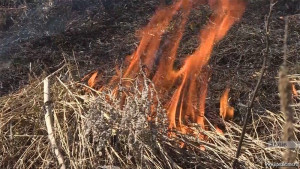 Пожарным удалось спасти частный дом от уничтожения огнем