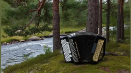 Музыкант из Липецкой области покорил Карелию елецкой гармоникой
