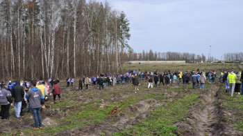 За семь лет участия Липецкой области в акции «Сад памяти» в регионе появилось 10 млн новых деревьев