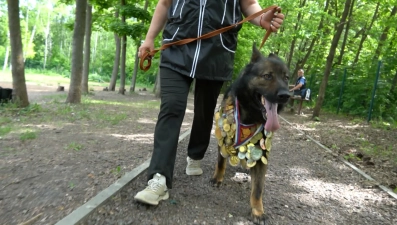 Чемпионат России по спортивно-прикладному собаководству пройдёт в Липецке