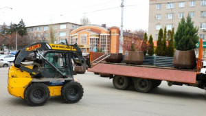 С липецких улиц на зиму вывозят туи в кадках