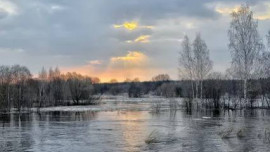 Режим повышенной готовности введен в Липецкой области из-за подъема воды в нескольких реках 