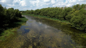 В Липецкой области расчистят пруды для местных жителей