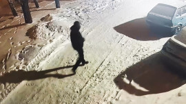 В Липецке задержали мужчину за кражу инструментов из автомобиля