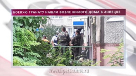 В Липецке около жилого дома найдена боевая граната